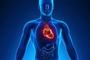 cardiology products