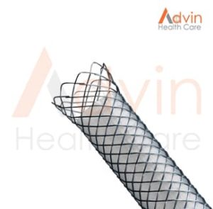 Biliary Metal Stent
