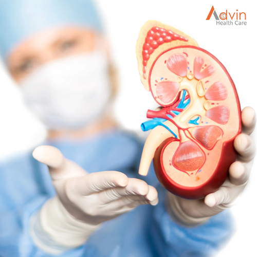 Facts To Know About Kidney Transplant