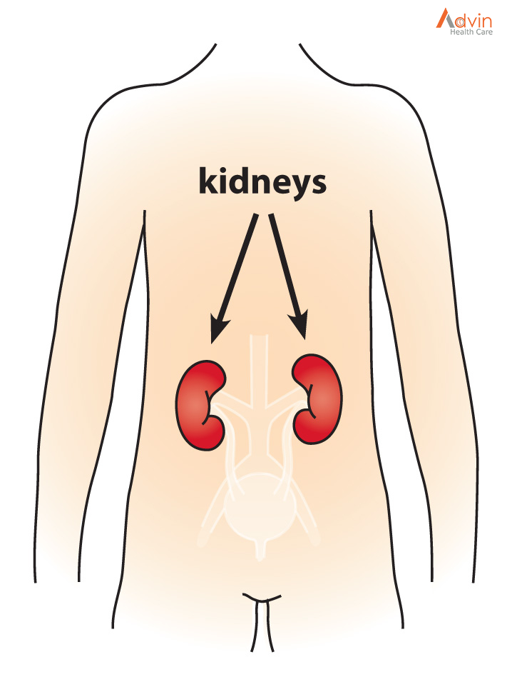 Chronic Kidney Disease And Dialysis Procedure