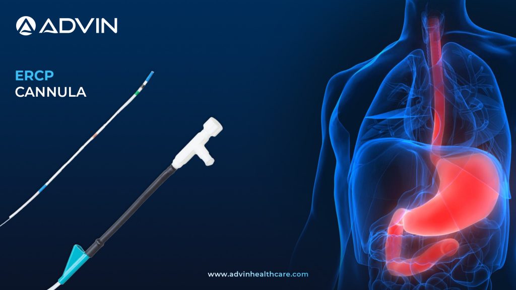 ERCP Cannula – A Key Tool for Digestive Health