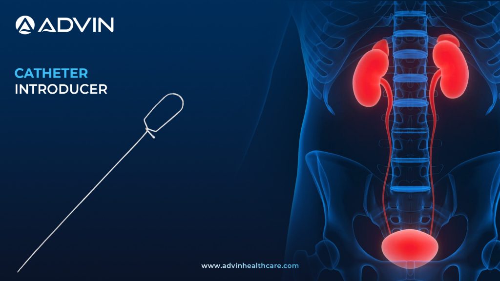 Catheter Introducer – Safe and Controlled Vascular Access Made Easy