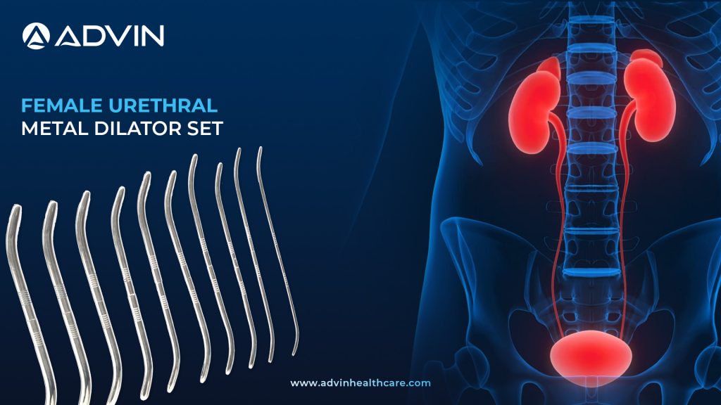 Female Urethral Metal Dilator Set – Safe & Effective Dilation