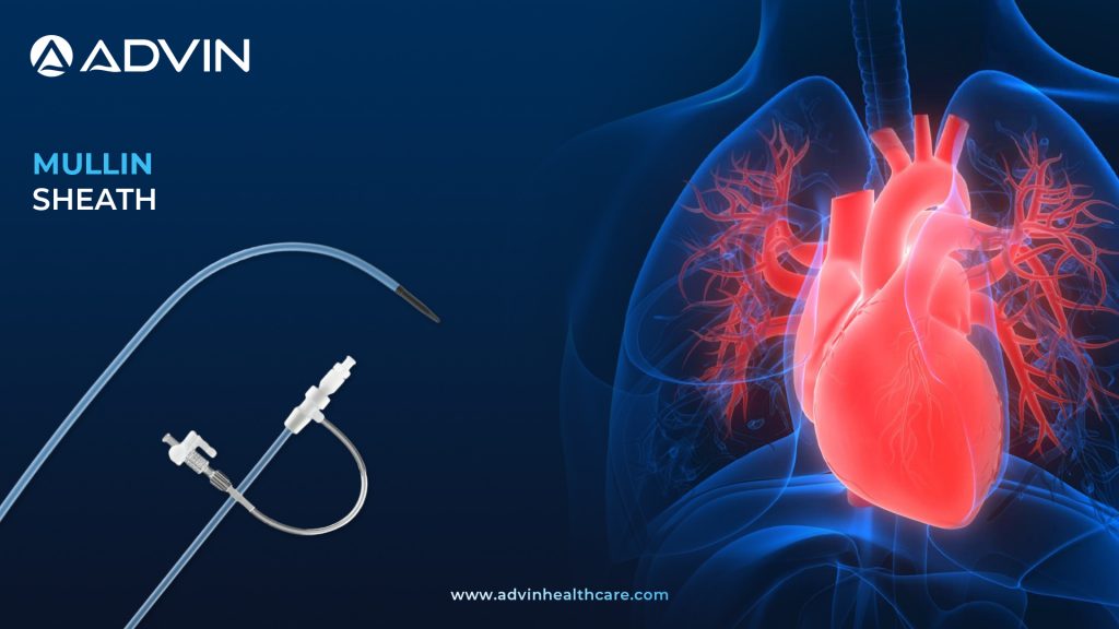Mullin Introducer Sheath – Smooth, Reliable Access for Transseptal Procedures
