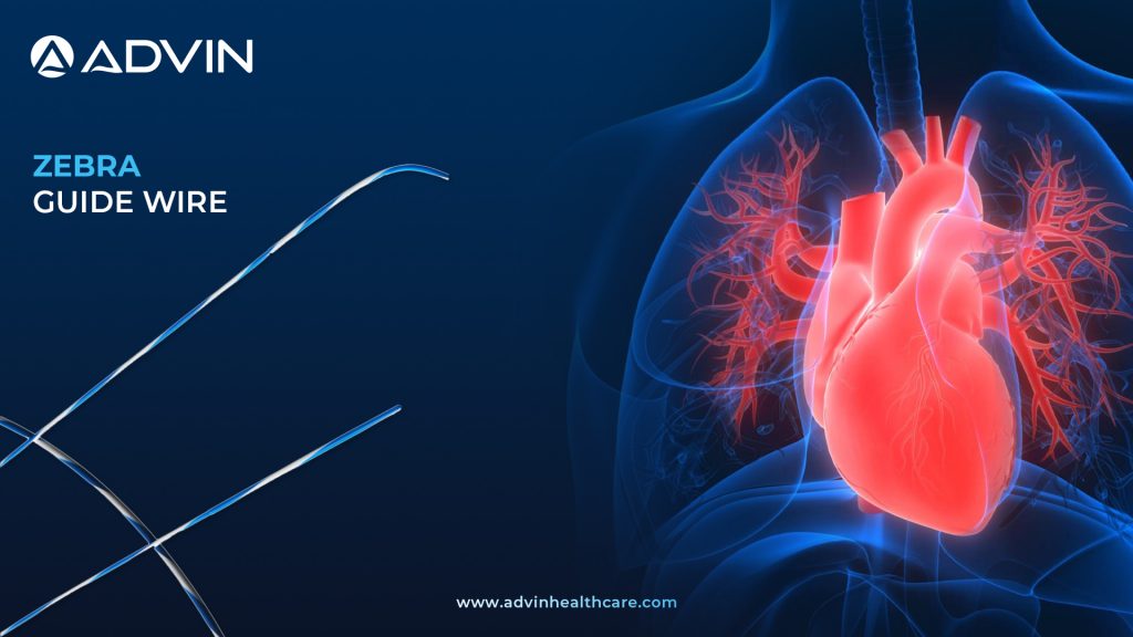 Zebra Guide Wire – The Visual Edge for Complex Cardiac Interventions