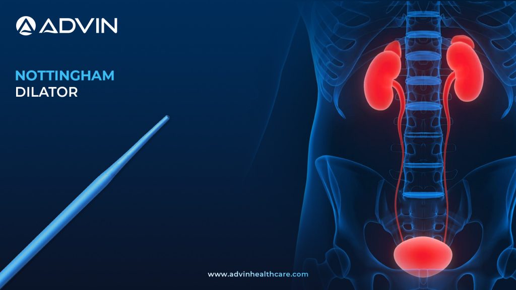 Nottingham Dilator – Specialized Tool for Progressive Urethral Dilation
