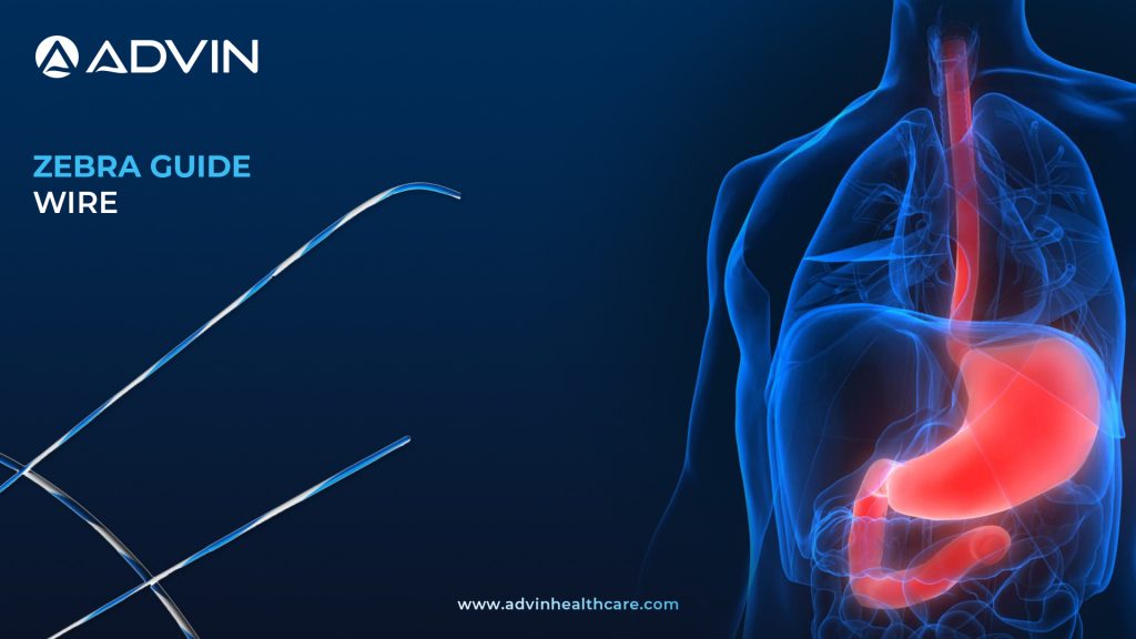 Zebra Guide Wire – Reliable Navigation in Endoscopic Procedures