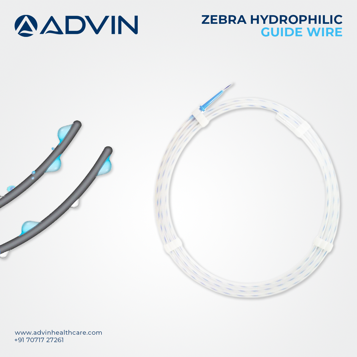 Zebra Hydrophilic Guide Wire