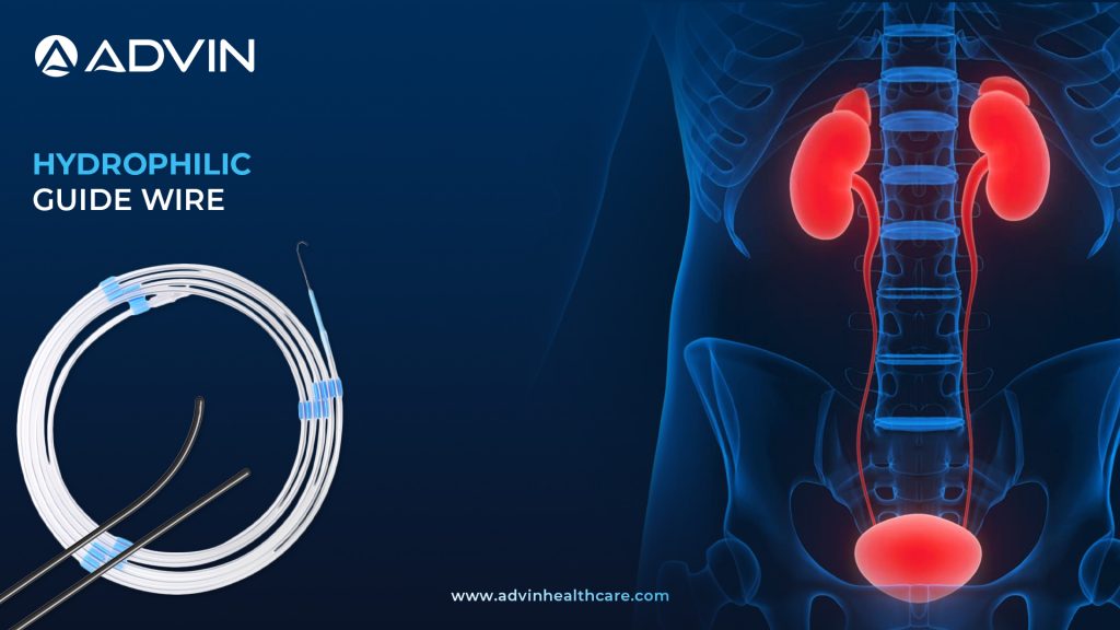 Hydrophilic Guidewire – Smooth Navigation for Complex Urological Access