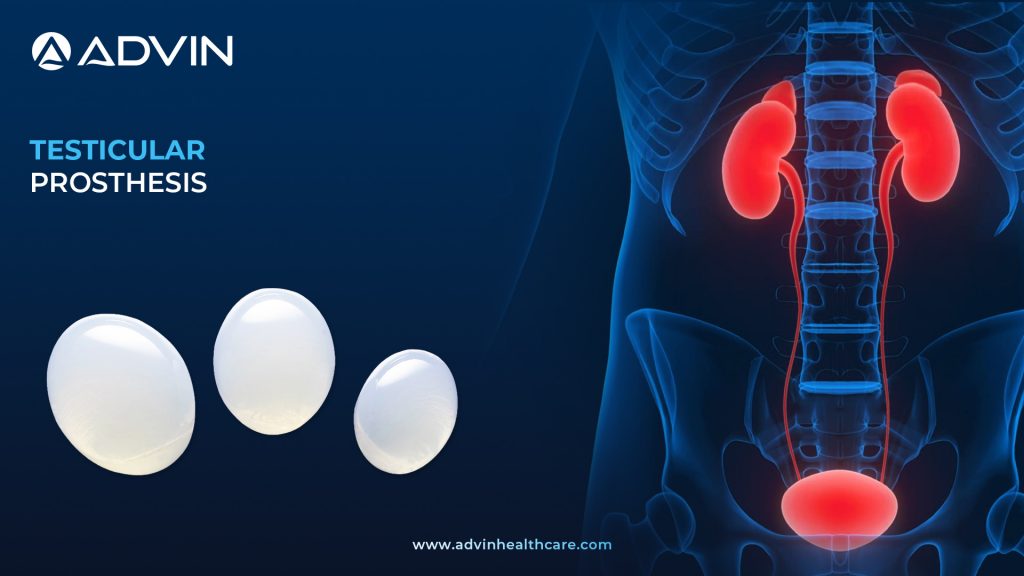 Testicular Prosthesis – Materials, Safety & Long-Term Results