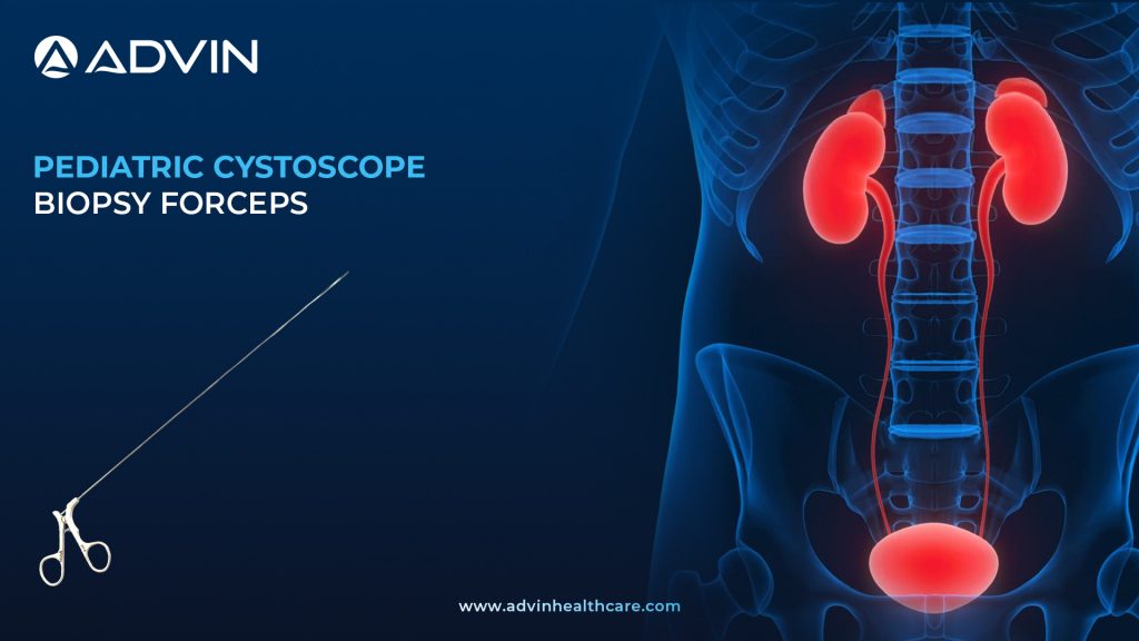 Pediatric Cystoscopy Biopsy Forceps – Precision Instrument for Gentle Tissue Sampling