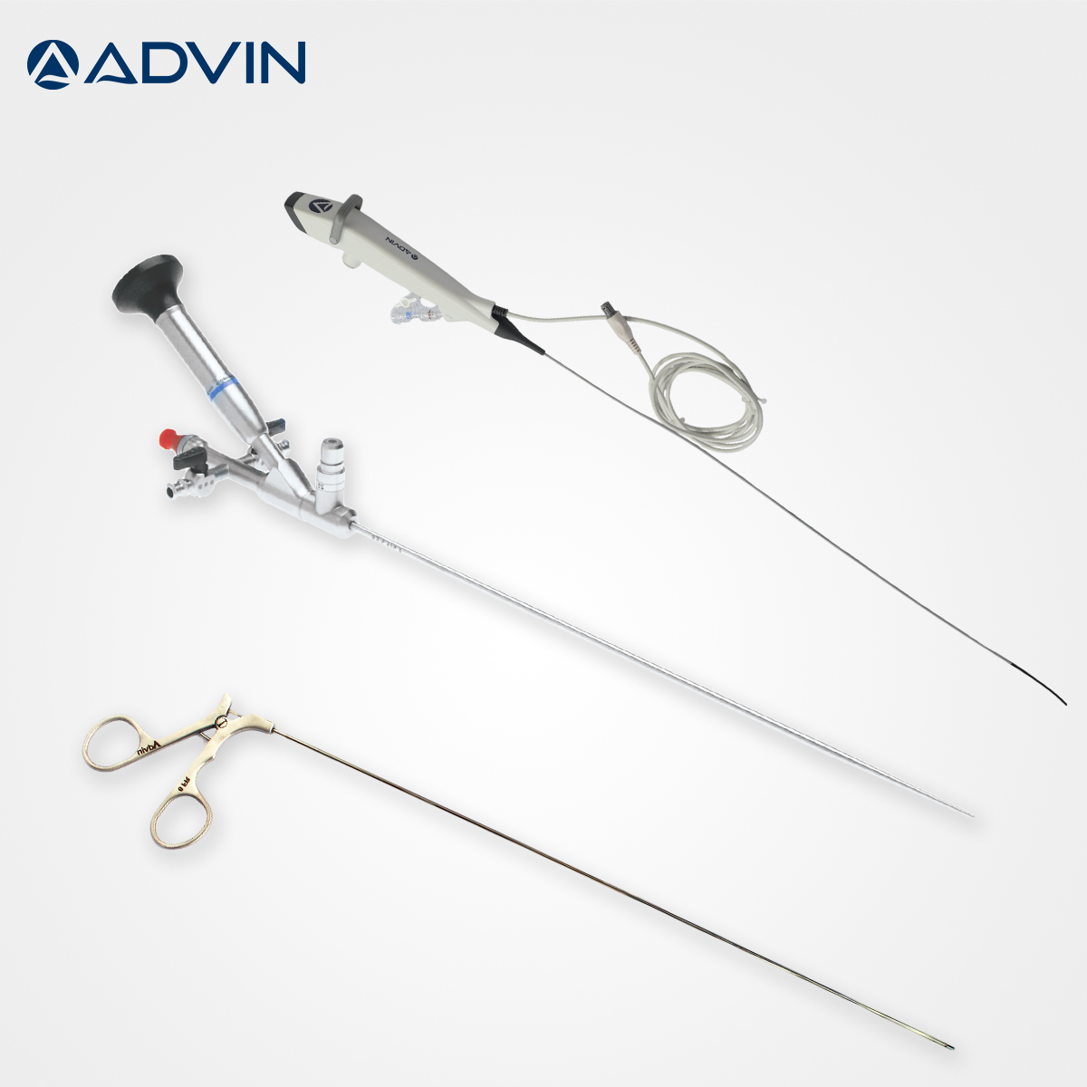 Ureteroscopy Products